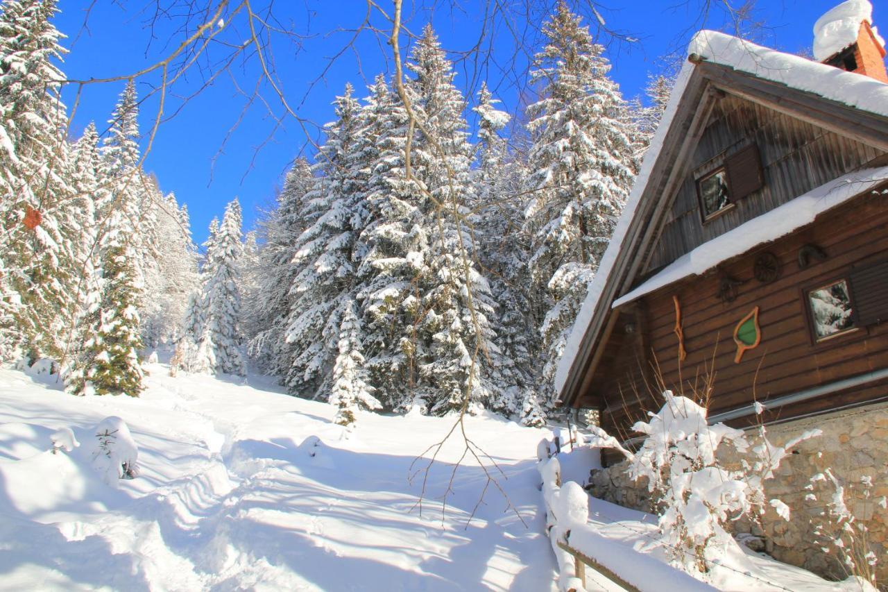 B&B Pod Skalo Kamnik Luaran gambar